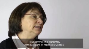 Que sont les organismes spécialisés en développement de la main-d’œuvre féminine?